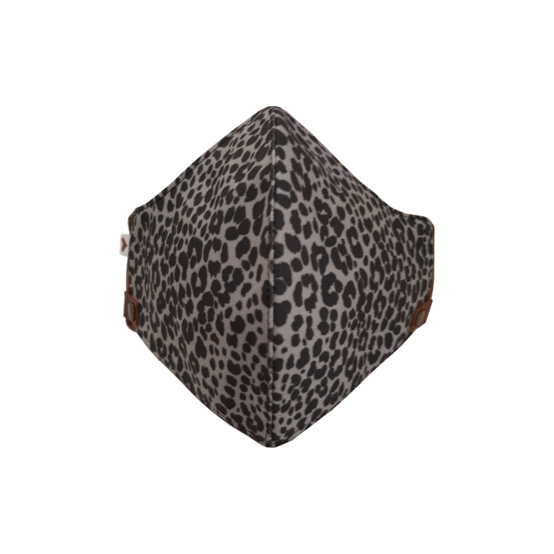 Safari Snow Leopard